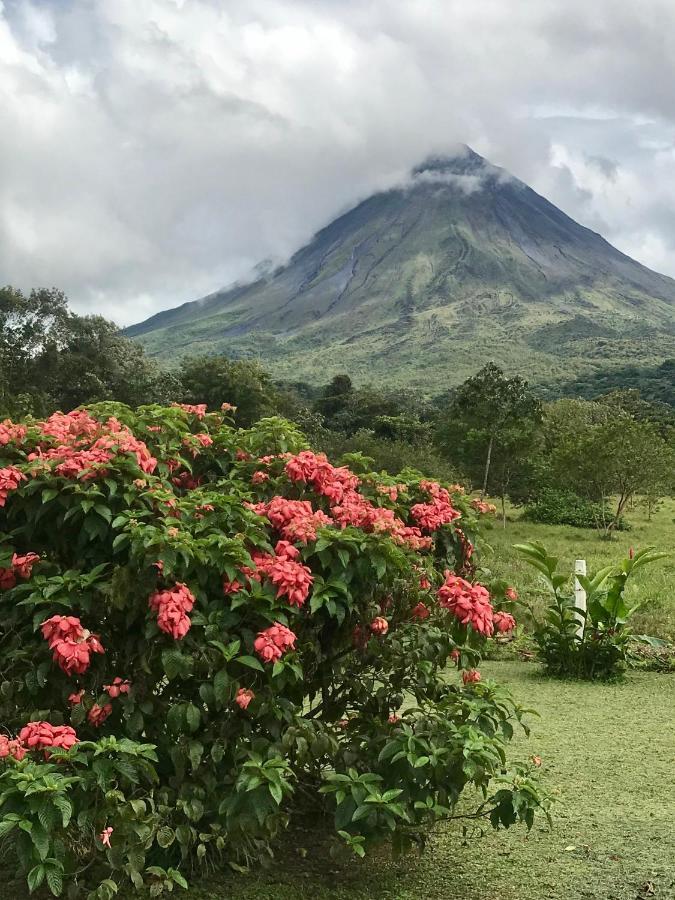 Arenal Roca Suites La Fortuna Ngoại thất bức ảnh