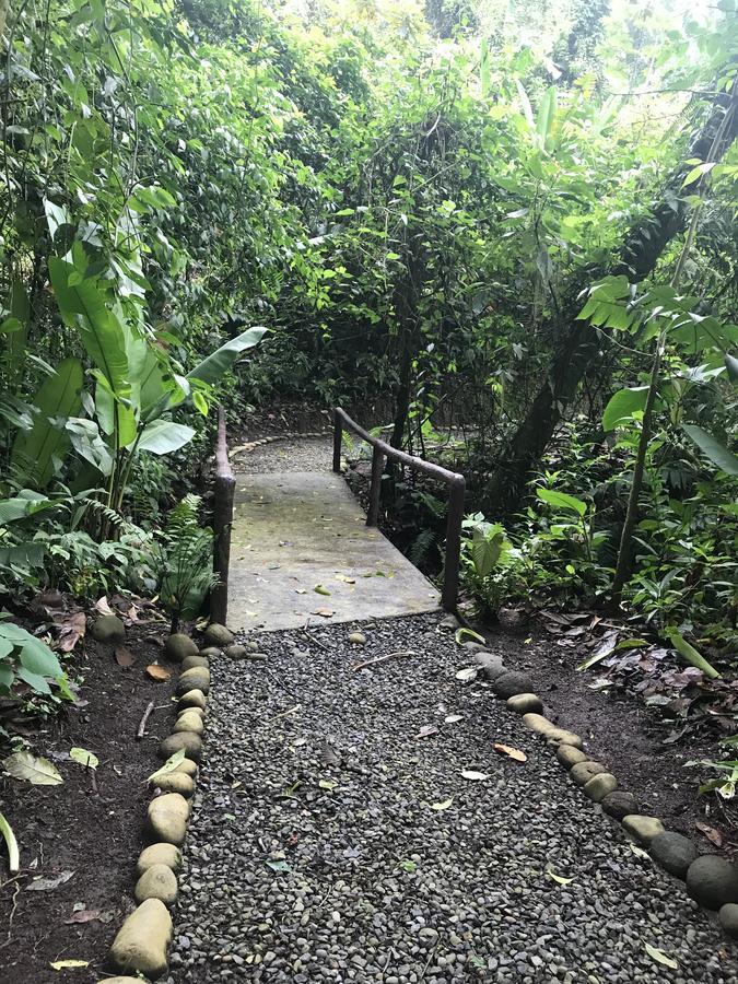 Arenal Roca Suites La Fortuna Ngoại thất bức ảnh